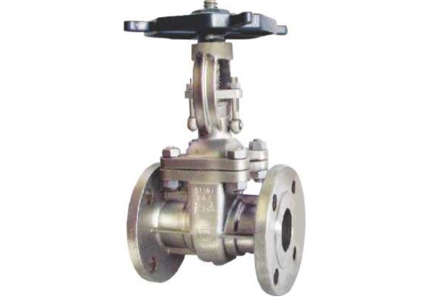 Gate Valve Investment Casting